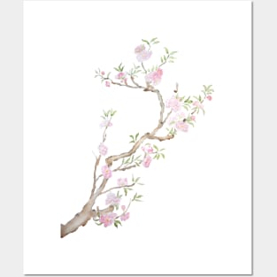 pink peach flowers blossom Posters and Art